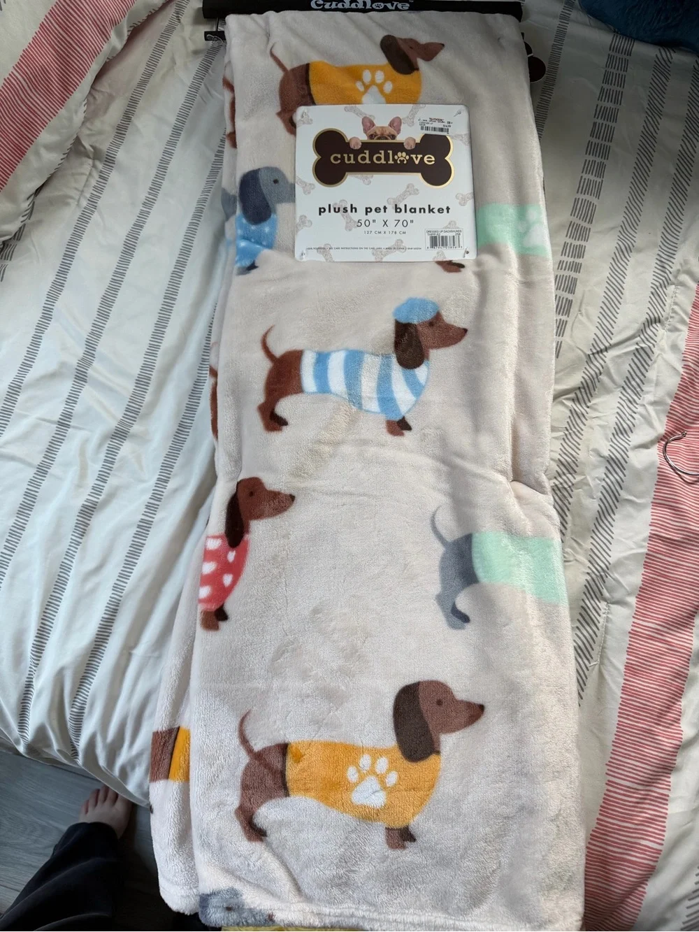 Cuddl·ove Plush Pet Blanket - Cream with Multicolor Dachshund Print